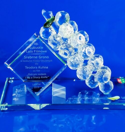 Kryształowa nagroda dla Lubuskie Lato Filmowe