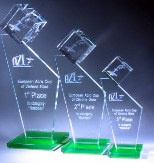 Nagroda specjalna Mistrzostwa Europy w Akrobacji Lotniczej