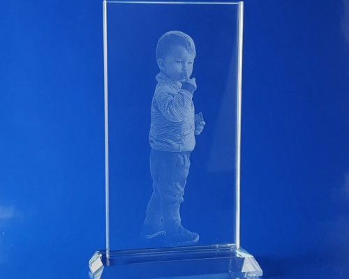 Engraved photo of the TS statuette inside the glass.