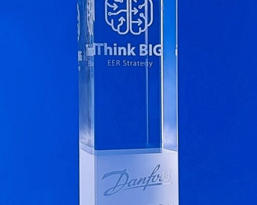 original custom awards, crystal block with 3d engraving, glass statuette with 3d engraving and decorative sandblasting Danfoss Think Big award for the best, brain engraved in glass