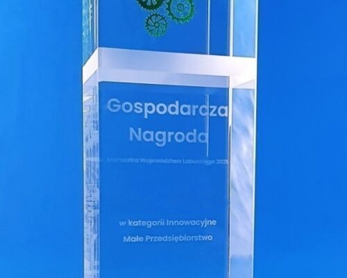 glass economic award with gears in the innovative enterprise category. A crystal block statuette, a combination of three glass decorating techniques, 3D engraving, sandblasting of decorative stripes and painting. The grapes, the symbol of Zielona Gora, and the gears, the symbol of innovation, are available in five colors that match the category in the competition