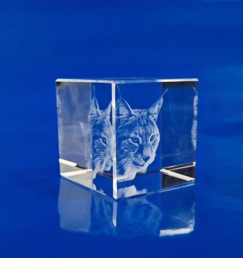 ryś zdjęcie 3D Twojego najlepszego przyjaciela Ryś jako portret 3D grawerowany laserem w szkle kryształowym. zdjęcie 3D w szkle rysia to doskonała pamiątka. Fotokryształ ze zdjęciem 3D pupila jako pomysł na prezent Ryś 3D w krysztale jako oryginalny szklany upominek z grawerem Zamów zdjęcie 3D swojego najlepszego przyjaciela w szklanej statuetce 3D