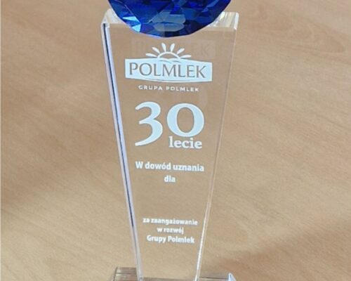 glass award for the 30th anniversary with a blue diamond Premium award with a blue diamond referring to the color of the logo a very prestigious statuette made of crystal glass for the Polmlek Group on the occasion of the anniversary a crystal blue diamond with a logo as the final look of the award Are you looking for a unique award for your anniversary? Write to us, we have been doing 3D engraving since 2000